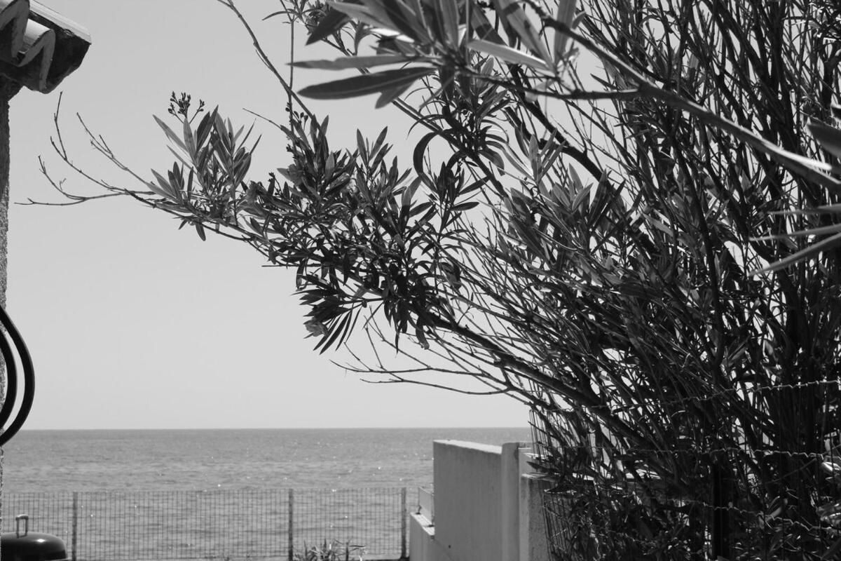 Bord de mer, pieds dans l'eau, vue panoramique Villa San-Nicolao Exterior photo