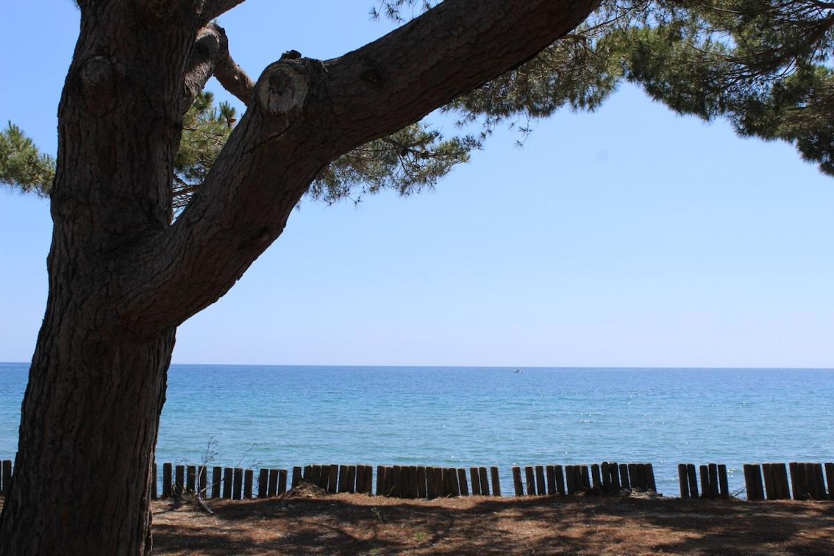 Bord de mer, pieds dans l'eau, vue panoramique Villa San-Nicolao Exterior photo